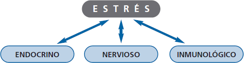 Definición estrés